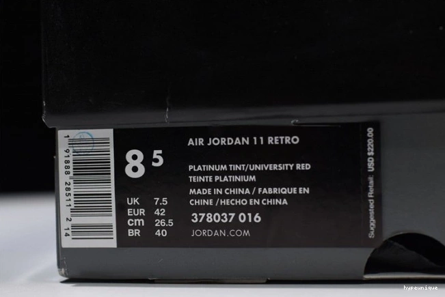 HYPE 11 Jordan 378037-016 Platinum Air Retro Tint 0705